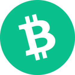 coin-bitcoin-cash